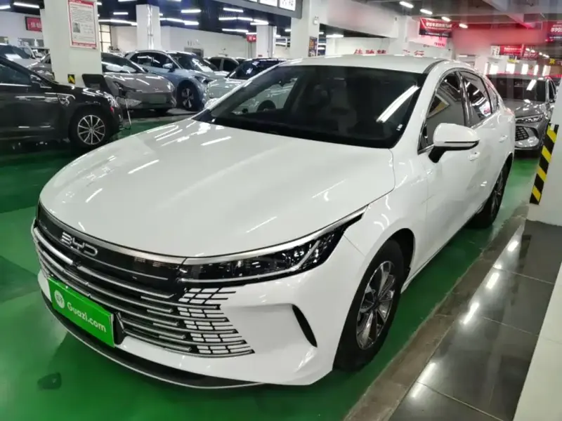 BYD Destroyer 05, 2025 — фото 1