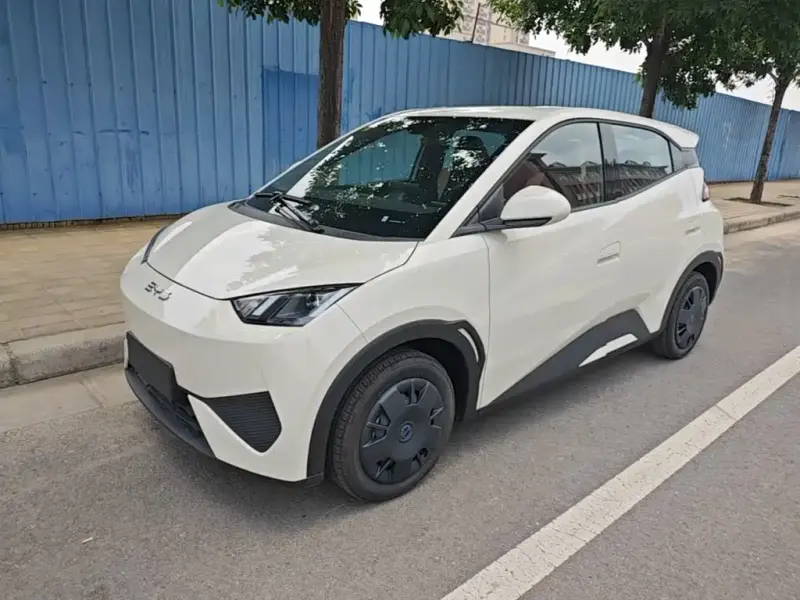 BYD Seagull, 2026
