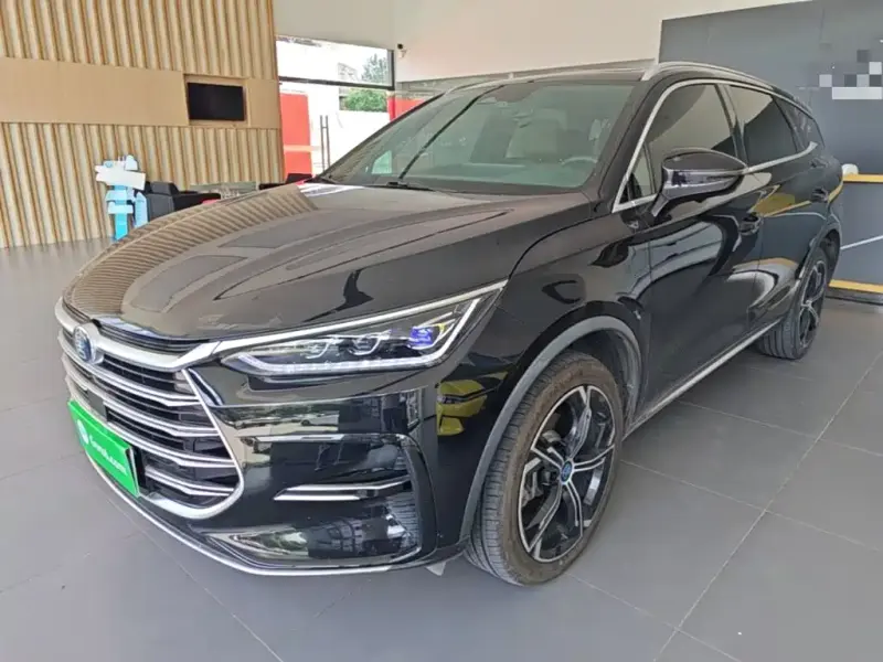 BYD Tang New Energy, 2021