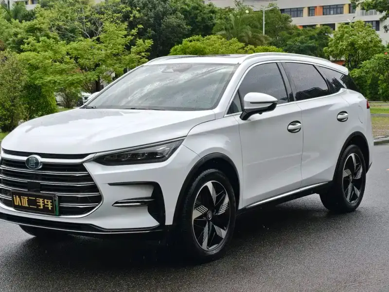 BYD Tang New Energy, 2024
