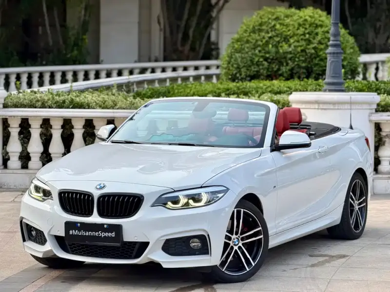 BMW 2 Series (Import), 2019