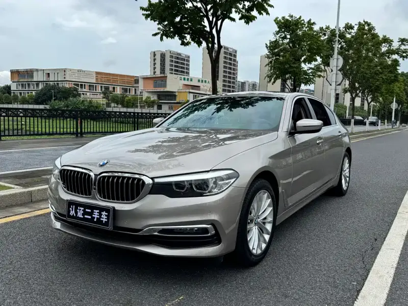 BMW 5 Series, 2019