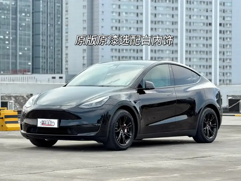 Tesla Model Y, 2021