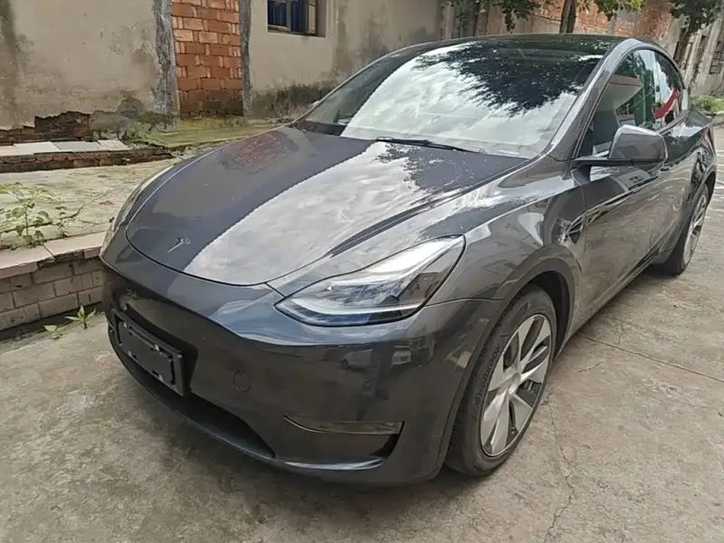 Tesla Model Y, 2021
