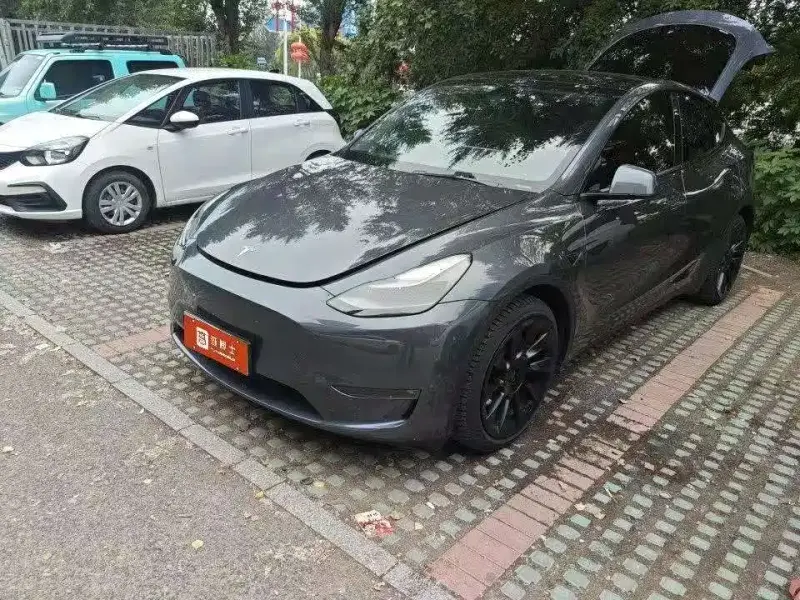 Tesla Model Y, 2021