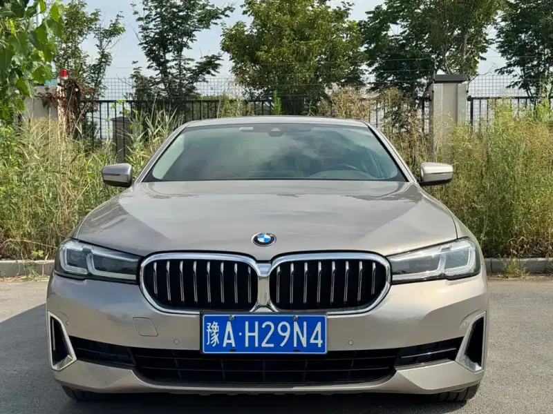 BMW 5 Series, 2020