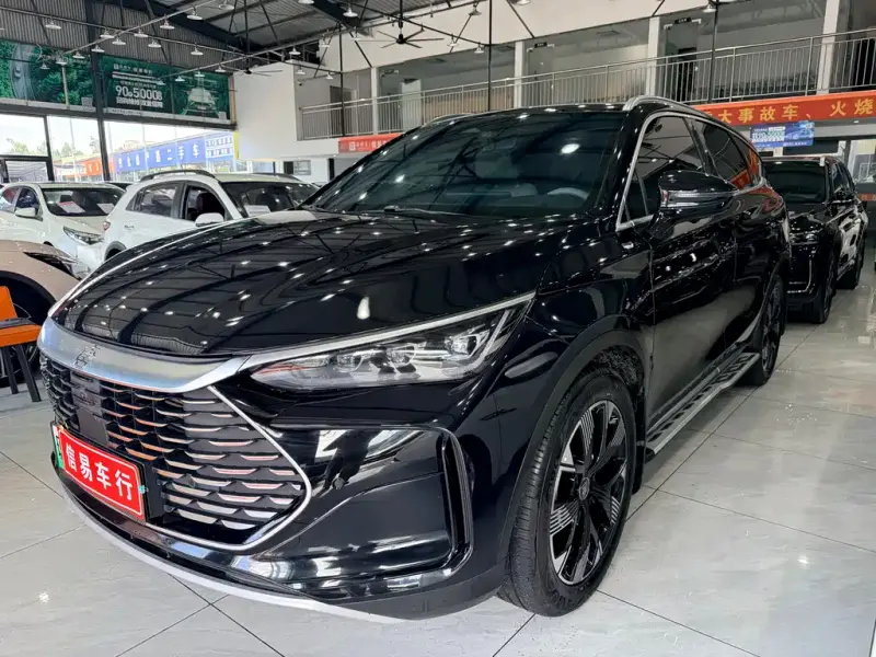 BYD Tang New Energy, 2024