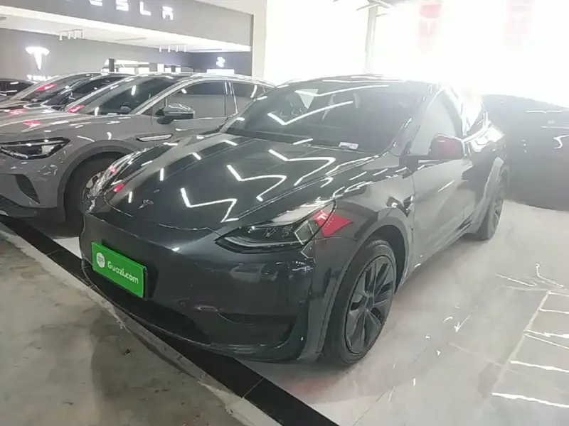 Tesla Model Y, 2024