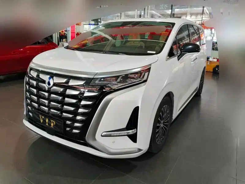 Denza D9, 2024