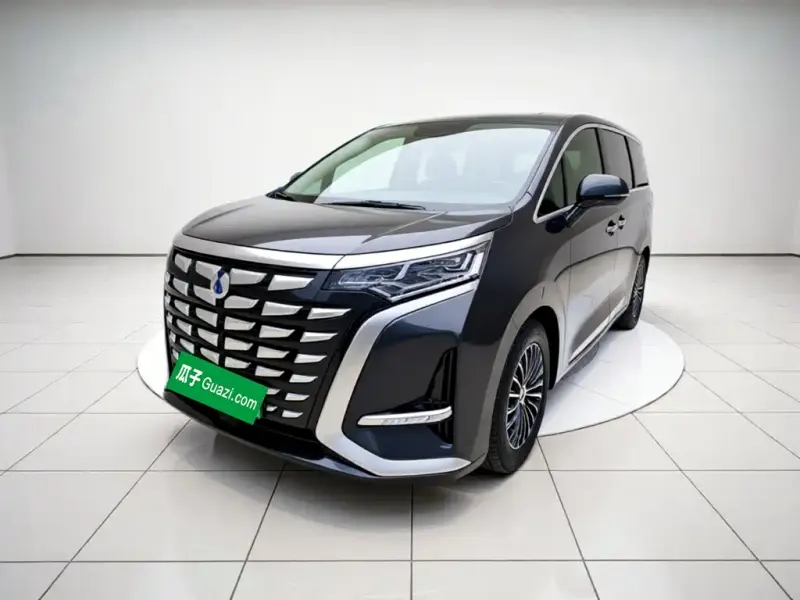 Denza D9, 2024
