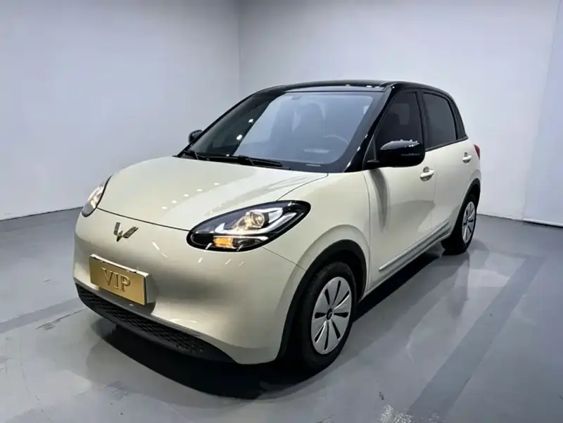 Wuling Bingo, 2024