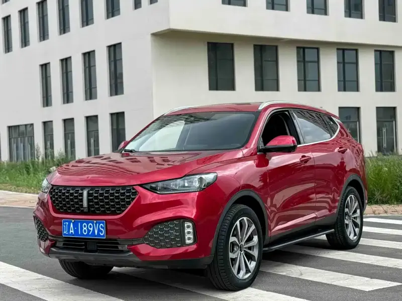 Wey VV6, 2019