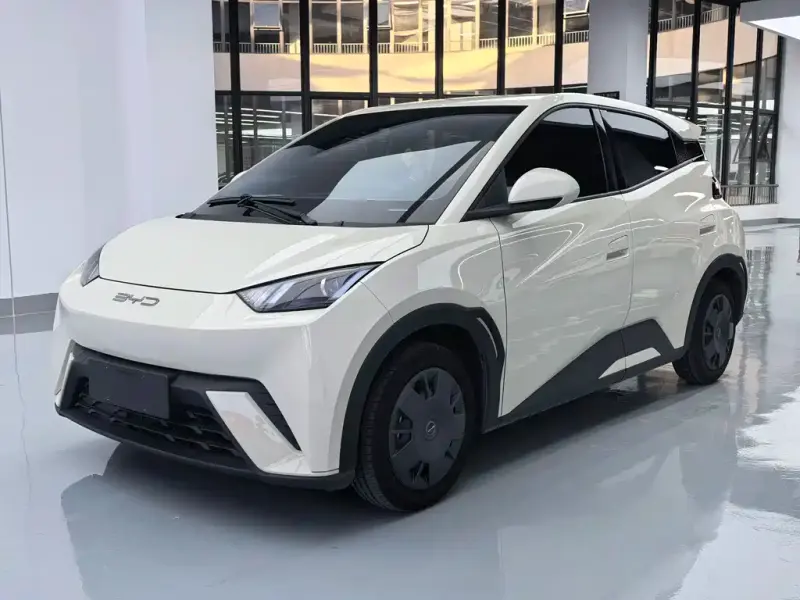 BYD Seagull, 2024