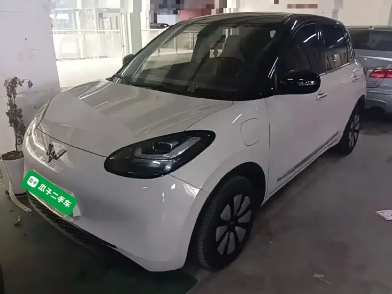 Wuling Bingo, 2024