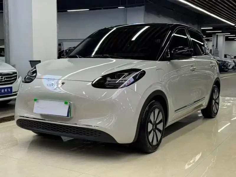Wuling Bingo, 2024