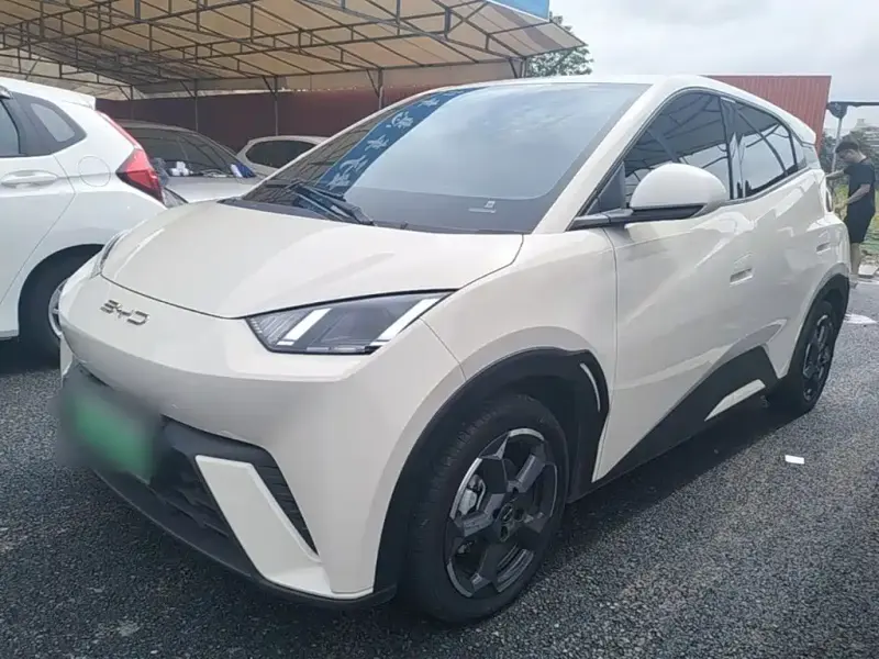 BYD Seagull, 2023
