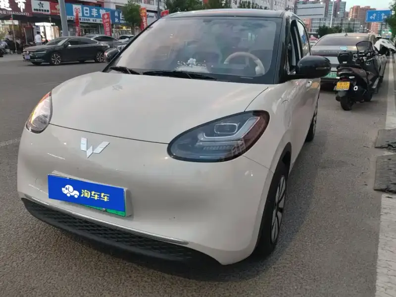 Wuling Bingo, 2024