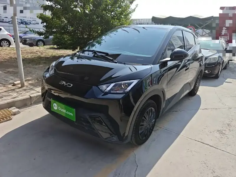 BYD Seagull, 2024