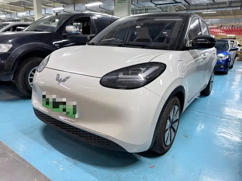 Wuling Bingo, 2023