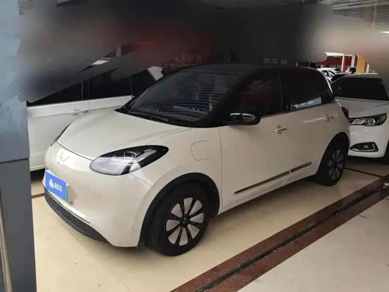 Wuling Bingo, 2023