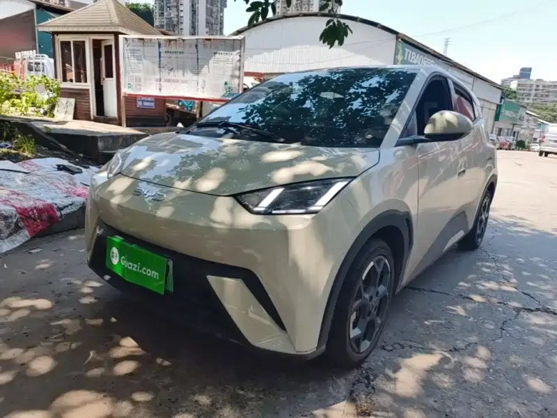 BYD Seagull, 2024