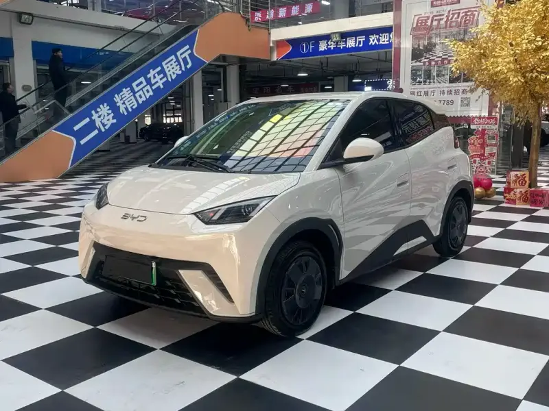 BYD Seagull, 2025
