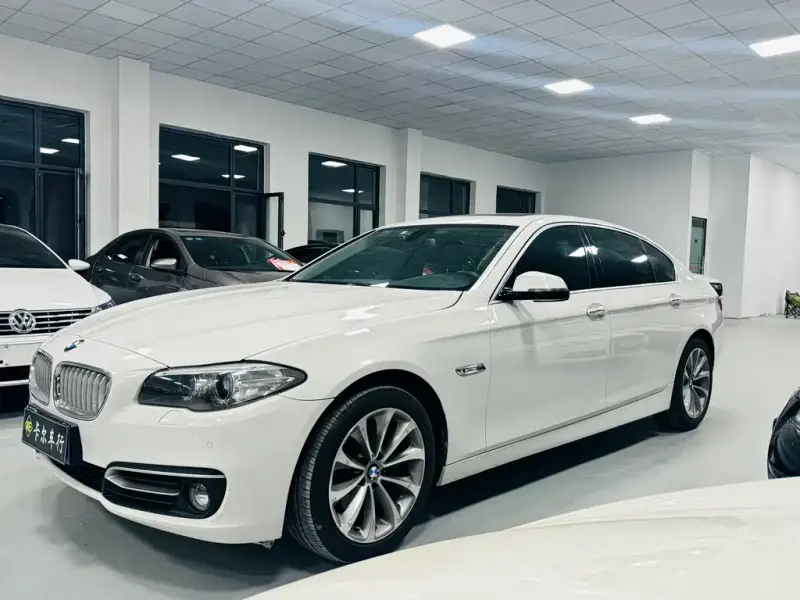 BMW 5 Series, 2014