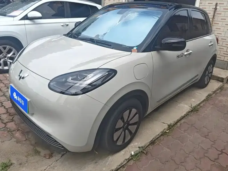 Wuling Bingo, 2024