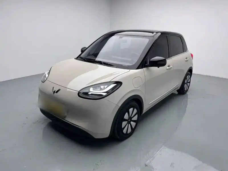 Wuling Bingo, 2025