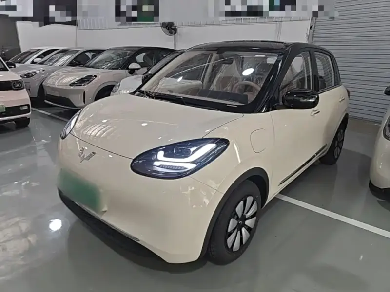 Wuling Bingo, 2025