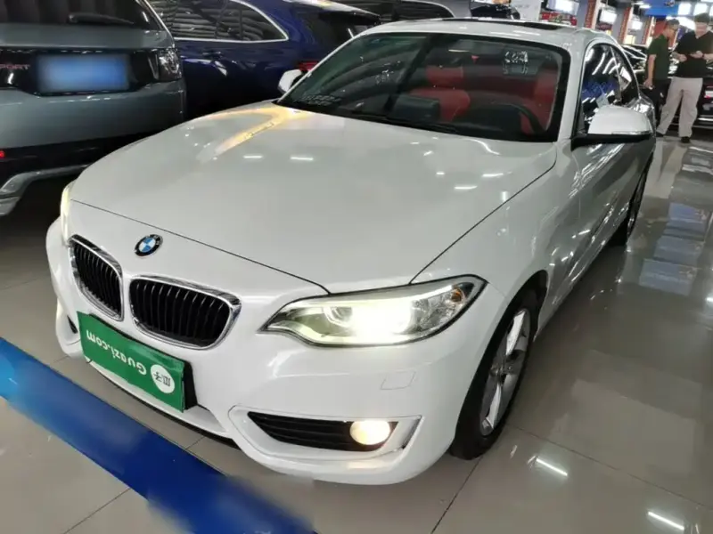 BMW 2 Series (Import), 2016