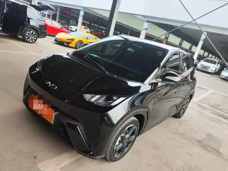 BYD Seagull, 2024