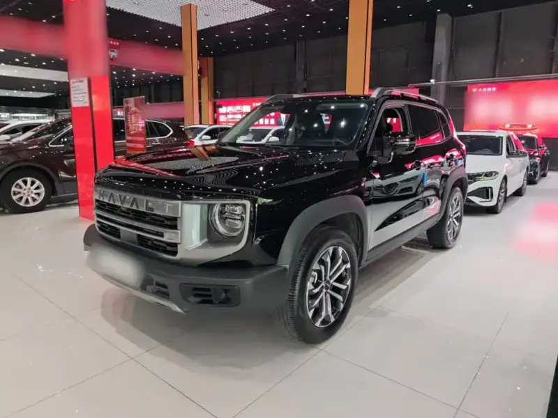 Haval Big Dog, 2024