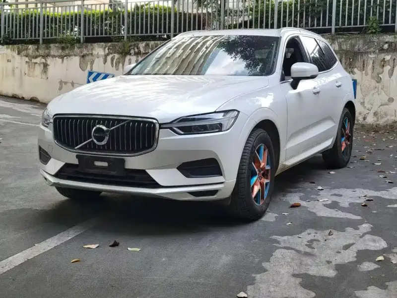 Volvo XC60, 2020 — фото 1