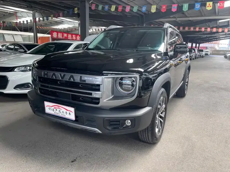 Haval Big Dog, 2024
