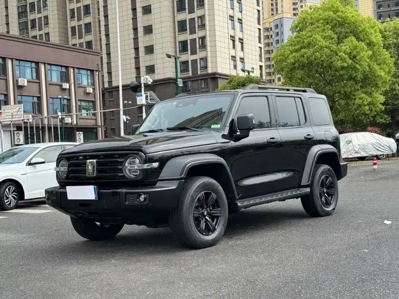 Tank 300, 2021
