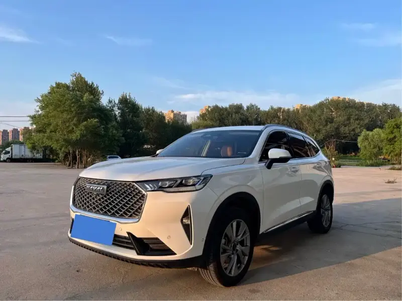 Haval H6, 2020