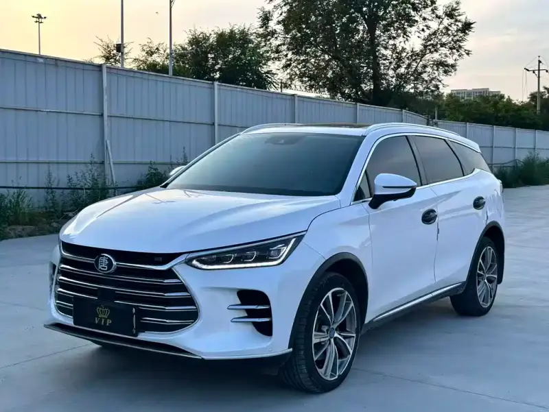 BYD Tang New Energy, 2020