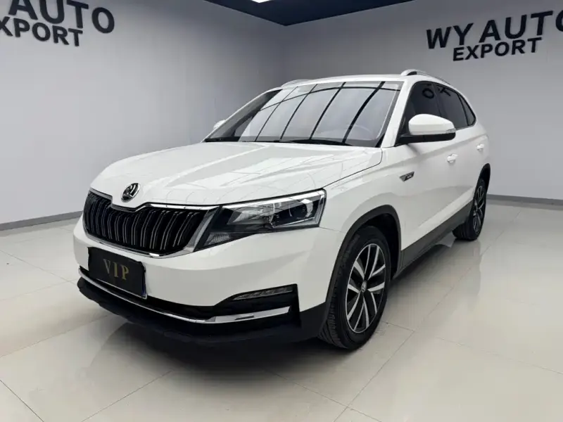 Skoda Kamiq, 2021 — фото 1