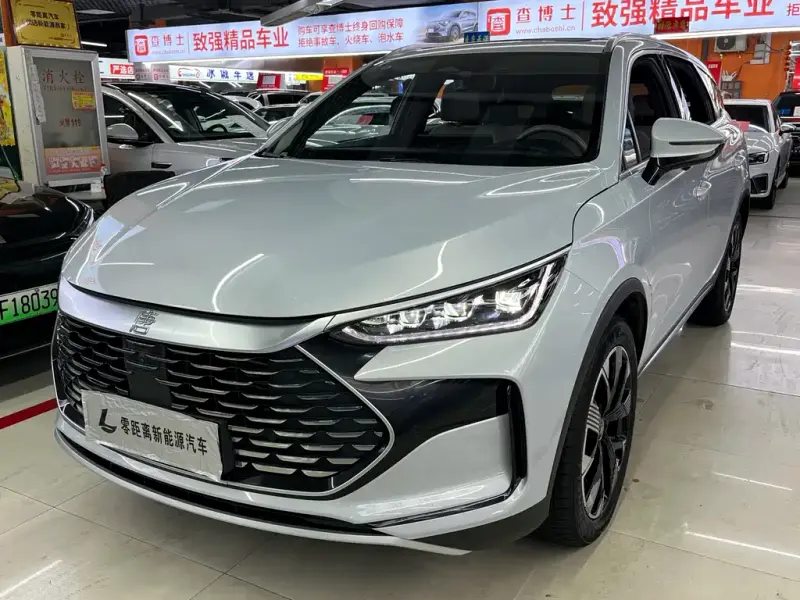 BYD Tang New Energy, 2024