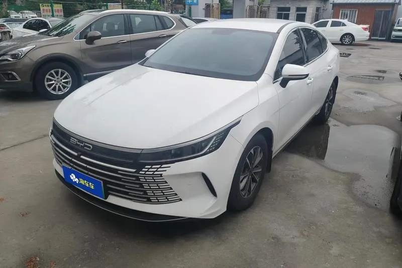 BYD Destroyer 05 DM-i Champion Edition 55KM Luxury Version, 2023 — фото 1