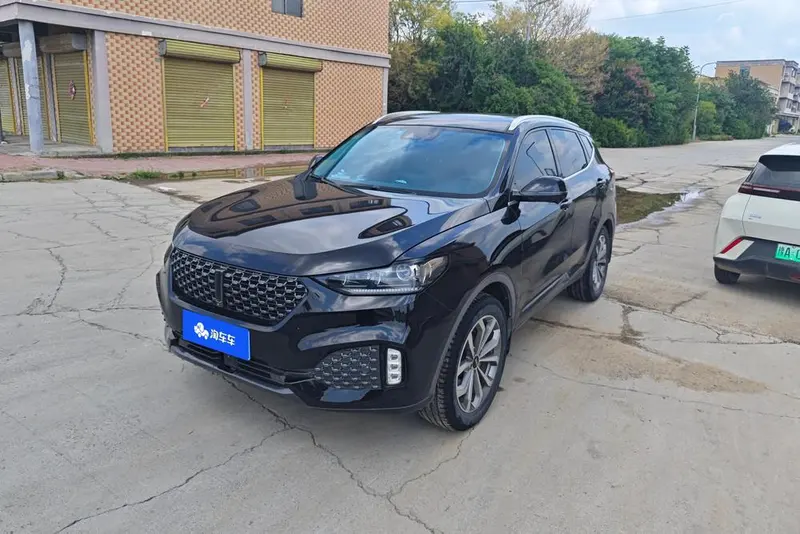 Wey VV6, 2020