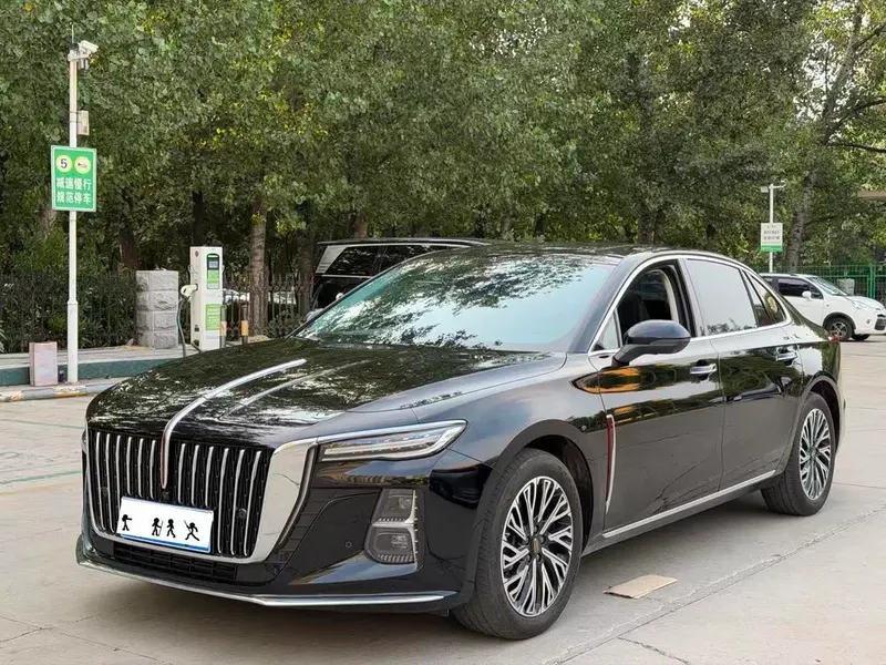 Hongqi H5 2.0T Auto Smooth Edition, 2025 — фото 1