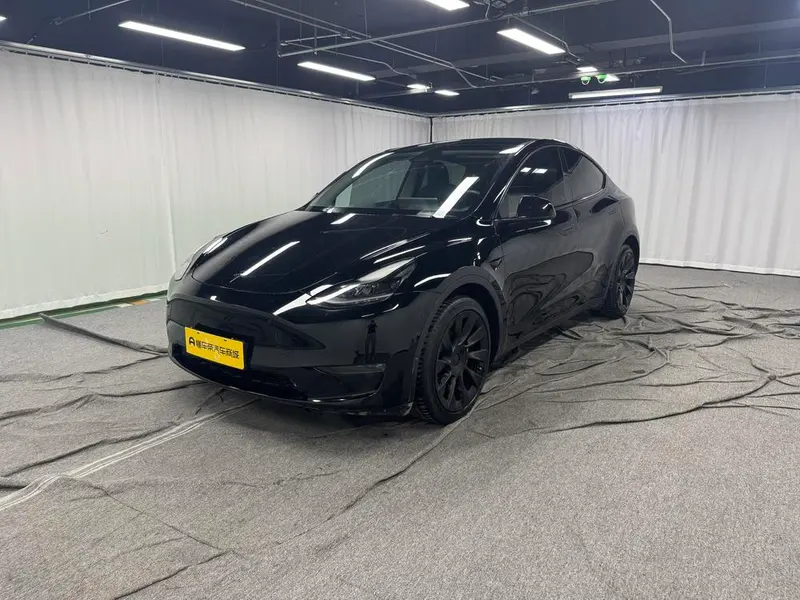 Tesla Model Y Long Range AWD Edition 3D3/3D7, 2021 — фото 1