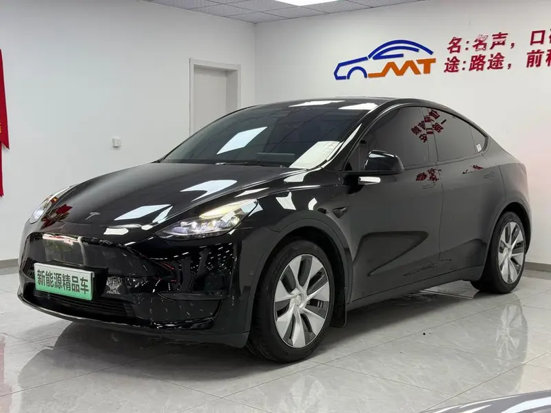 Tesla Model Y, 2021