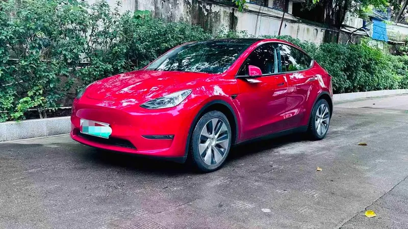 Tesla Model Y Long Range AWD Edition, 2021 — фото 1