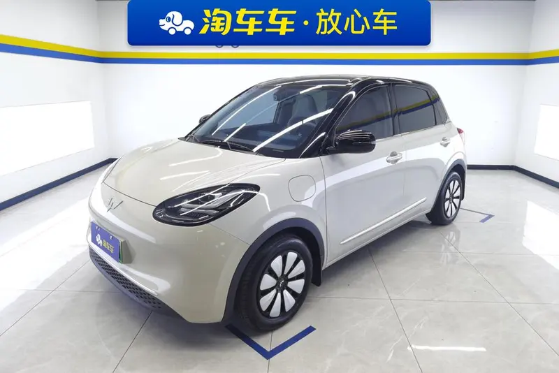 Wuling Bingo, 2024