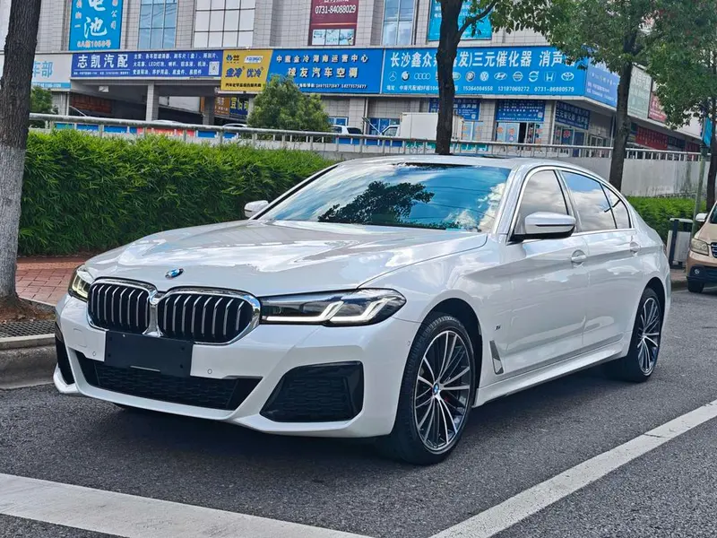 BMW 5-Series Facelift 530Li Leading Version M Sport, 2023 — фото 1