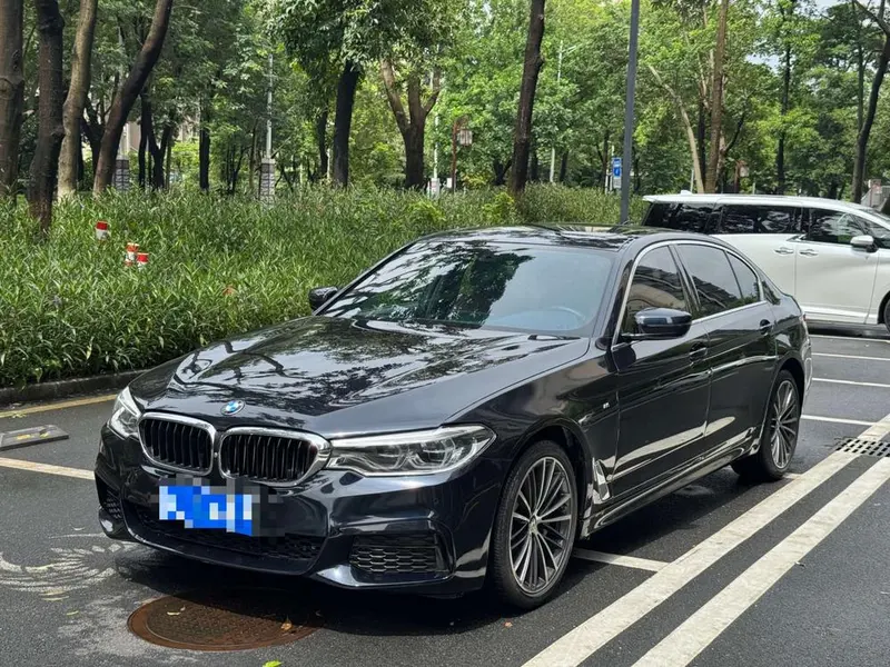 BMW 5-Series 530Li Leading Version M Sport, 2020 — фото 1