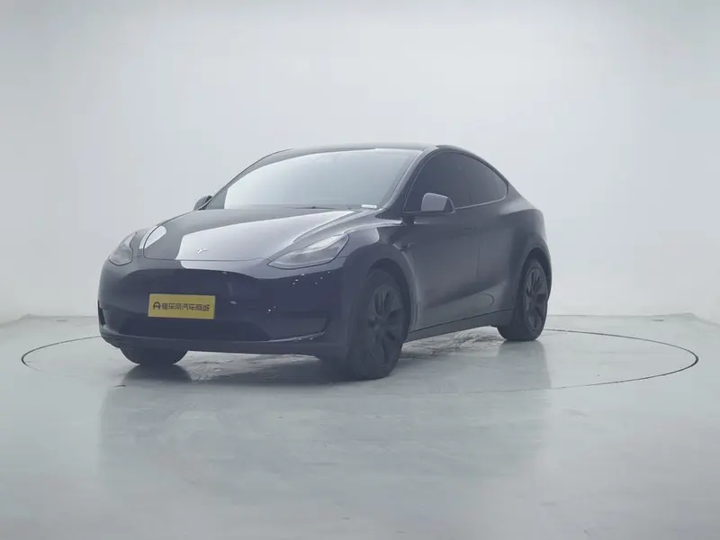 Tesla Model Y Edition, 2024 — фото 1
